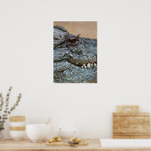 ワニ ポスター (キッチン)