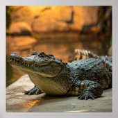 ワニ ポスター (正面)