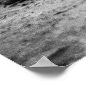 ワニ ポスター (角)