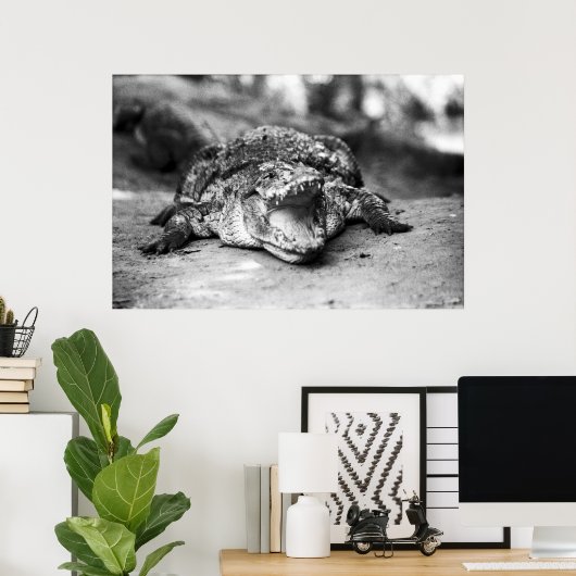 ワニ ポスター (ホームオフィス)