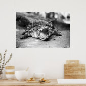 ワニ ポスター (キッチン)