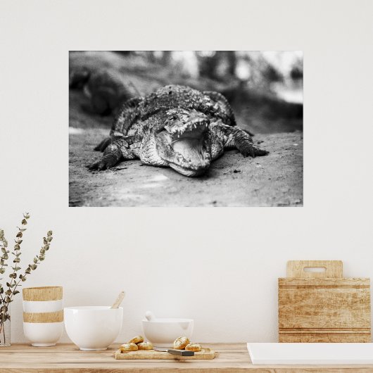 ワニ ポスター (キッチン)