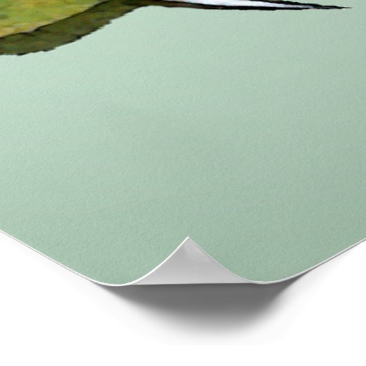 ワニ ポスター (角)