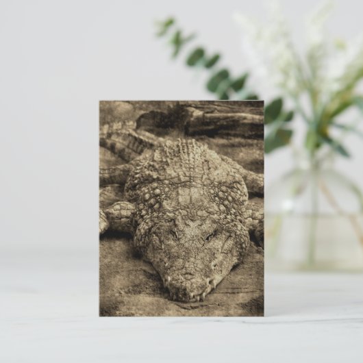 ワニ ポストカード (スタンド正面)