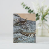 ワニ ポストカード (スタンド正面)