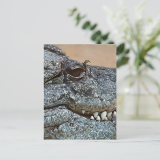 ワニ ポストカード (スタンド正面)