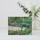 ワニ ポストカード (スタンド正面)