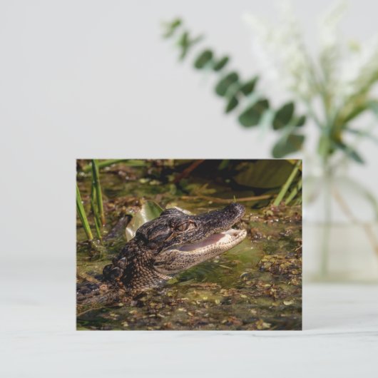 ワニ ポストカード (スタンド正面)