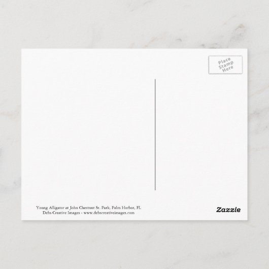 ワニ ポストカード (裏面)