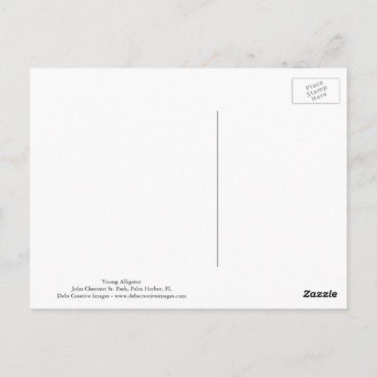 ワニ ポストカード (裏面)