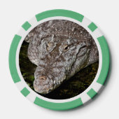 ワニ ポーカーチップ (裏面)