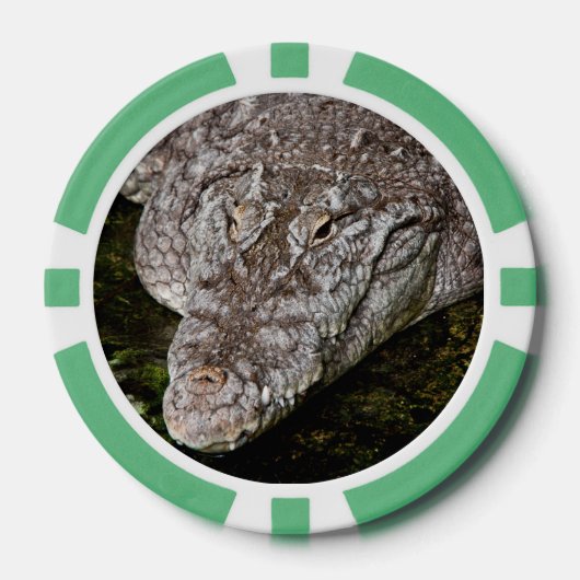 ワニ ポーカーチップ (正面)