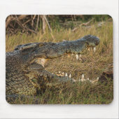 ワニ マウスパッド (正面)