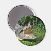 ワニ マグネット (正面/裏面)