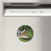 ワニ マグネット (インサイチュ (食洗機))