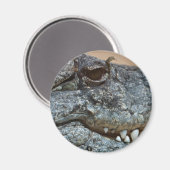 ワニ マグネット (正面/裏面)