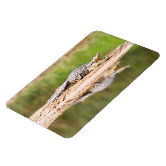 ワニ マグネット (左側)