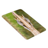 ワニ マグネット (右側)