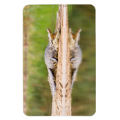 ワニ マグネット (縦)