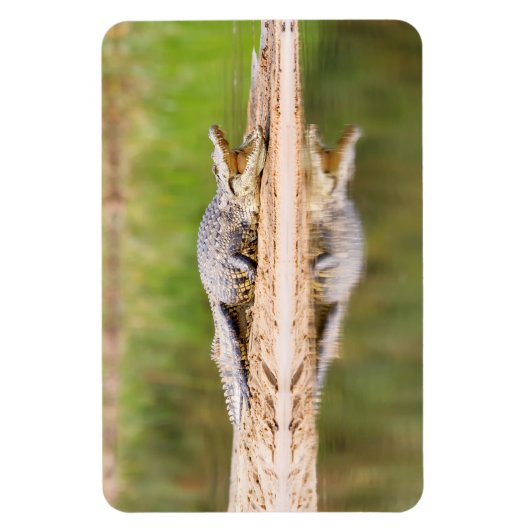 ワニ マグネット (縦)