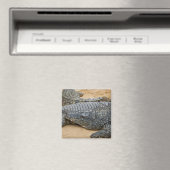 ワニ マグネット (インサイチュ (食洗機))