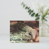 ワニ・モンティオール ポストカード (スタンド正面)