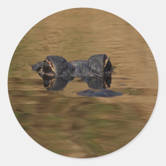 ワニ ラウンドシール (正面)