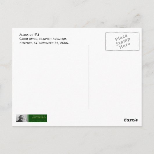 ワニ#3 ポストカード (裏面)