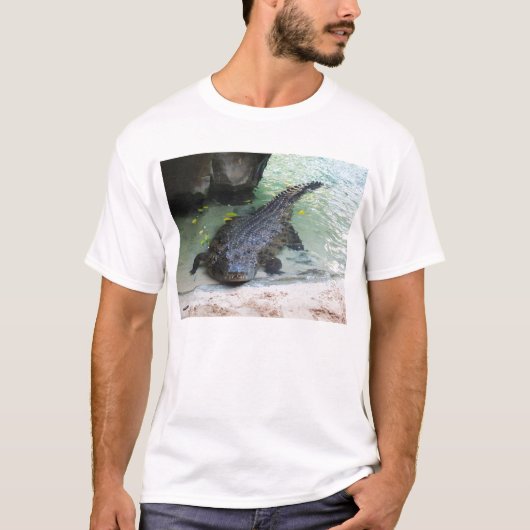 ワニ Tシャツ (正面)