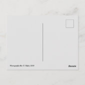 ワハガキのレイニエ山 ポストカード (裏面)