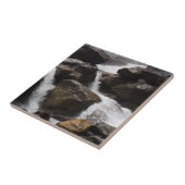 ワパマ滝 タイル (側面)