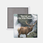 ワピティ&ウォーターフォール荒野ギフトマグネット マグネット (正面/裏面)