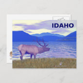 ワピティ（エルク）バイザレイク ポストカード (正面/裏面)