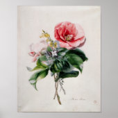 ワメリアとブロム ポスター (正面)