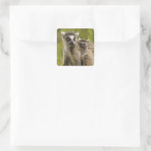 ワモンオナガレムール（Lemur catta）母と子供 スクエアシール (バッグ)