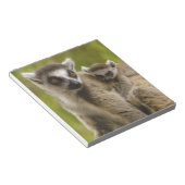 ワモンオナガレムール (Lemur catta) 母と子供 ノートパッド (アングル)