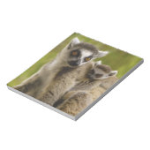 ワモンオナガレムール (Lemur catta) 母と子供 ノートパッド (回転)