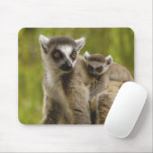 ワモンオナガレムール(Lemur catta)母と子供 マウスパッド (マウス)