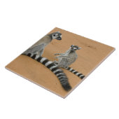 ワモンオナガワオマキザル (Lemur catta) ベレンティ タイル (側面)