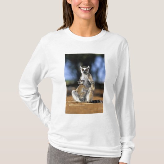 ワモンゴリマダラレムール (Lemur catta) 母と Tシャツ (正面)