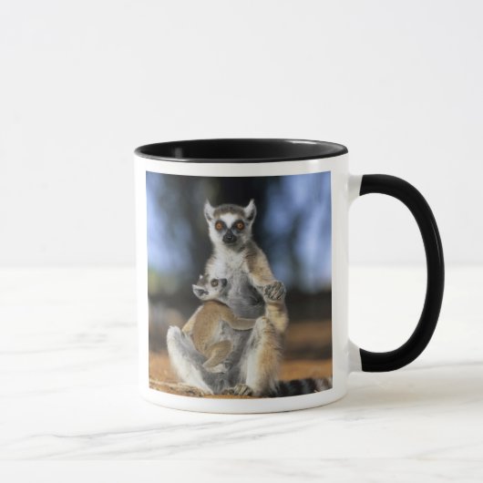 ワモンゴリラ, (Lemur catta), 母と マグカップ (右)