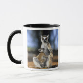 ワモンゴリラ, (Lemur catta), 母と マグカップ (左)