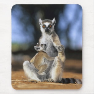 ワモンゴリラ (Lemur catta) 母 マウスパッド