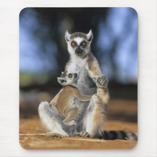 ワモンゴリラ (Lemur catta) 母 マウスパッド (正面)