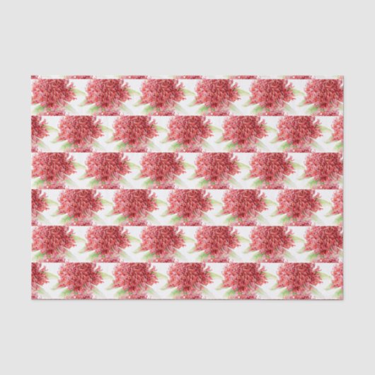 ワラタの花 水彩画 赤 ボタニック ティッシュペーパー 薄葉紙 (正面)