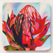 ワラタオーストラリア先住民花水色 コースター (正面)