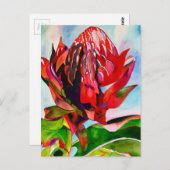 ワラタオーストラリア先住民花水色 ポストカード (正面/裏面)