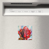 ワラタオーストラリア先住民花水色 マグネット (インサイチュ (食洗機))