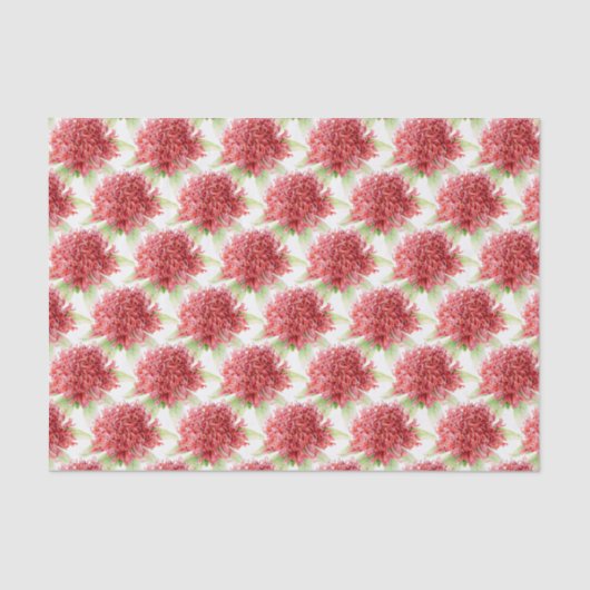 ワラタ花水彩赤植物性ティッシュペーパー 薄葉紙 (正面)