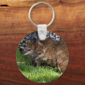 ワラビー キーホルダー (正面)